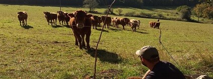 Foto: ČSOP