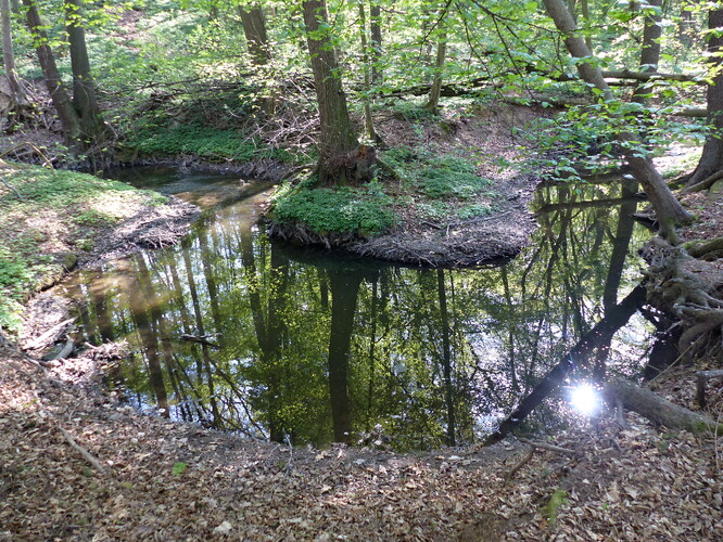 Meandr Rokytky.